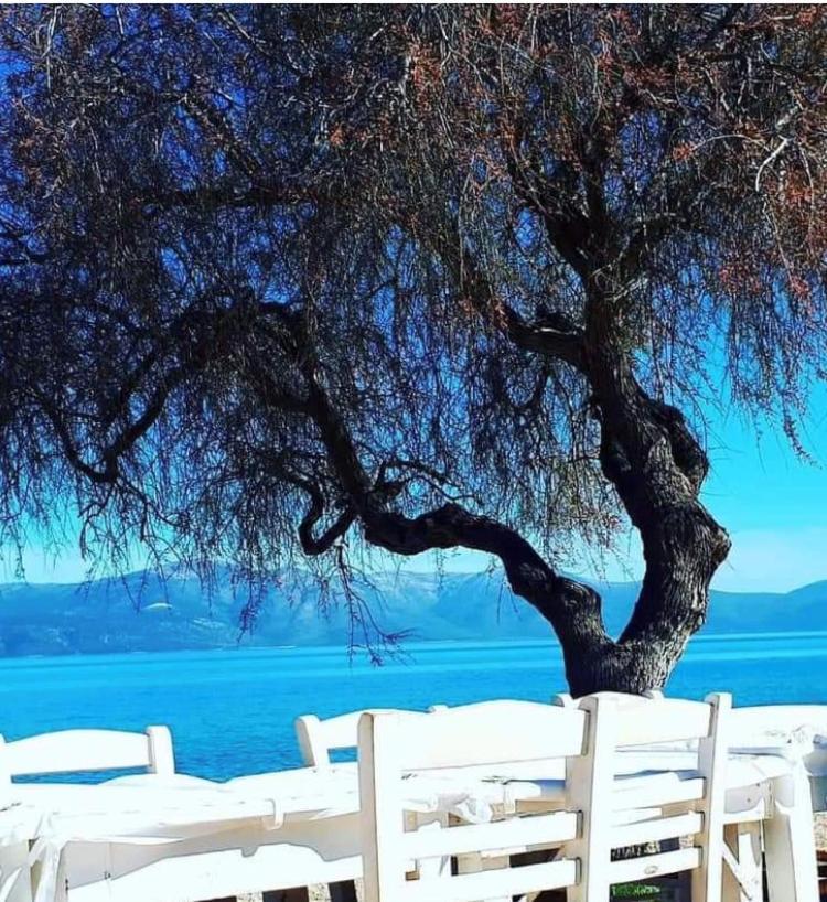 Вілла Eratous Seaside House Agii Dimitrios ke Panteleimon Екстер'єр фото